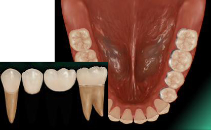 �P���u���b�W�i���^���{���h�j